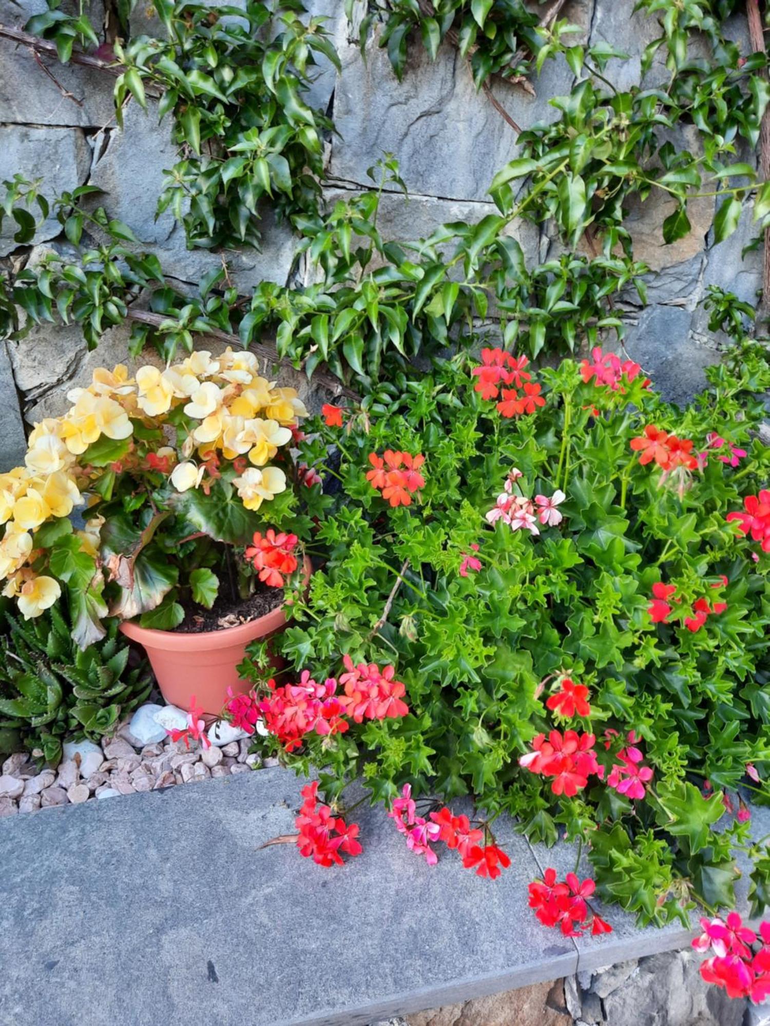 B&B Vignola Леванто Екстер'єр фото