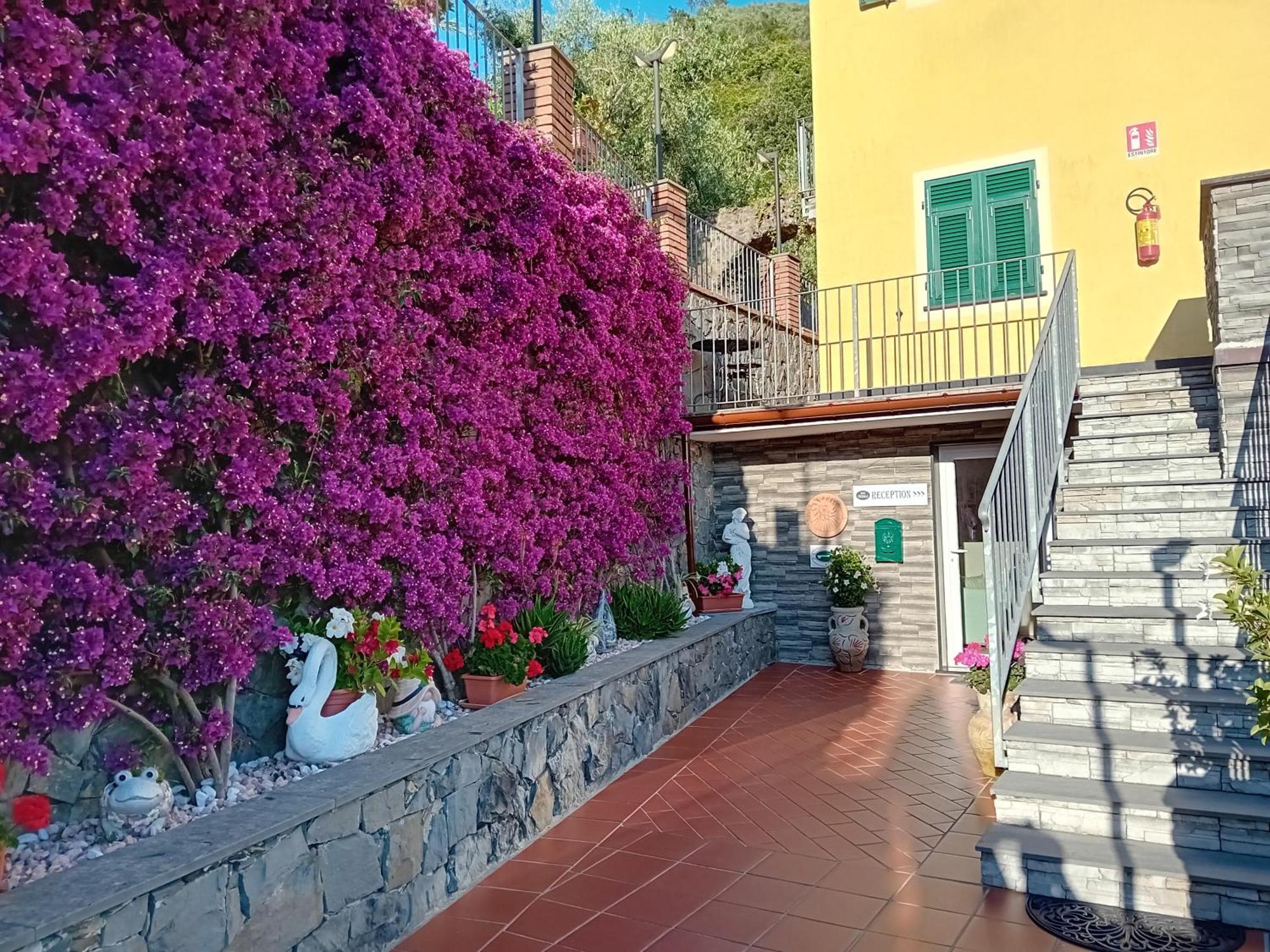 B&B Vignola Леванто Екстер'єр фото